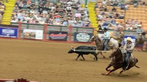 포트워스 스톡야드(Stockyards)에서 열린 로데오의 팀 송아지 로핑