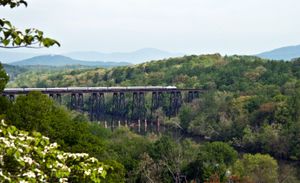 암트랙의 노스이스트 리저널이 린치버그 근처를 건너고 있다.