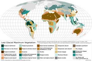 최후 빙기 당시의 식생 유형