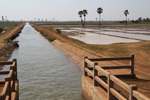 관개 수로와 농지