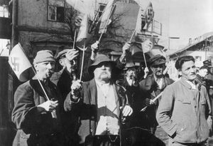 1938년 3월 13일 앙슐루스 이후 일부 인스브루크 주민들은 하켄크로이츠 깃발을 들고 독일군을 환영했다