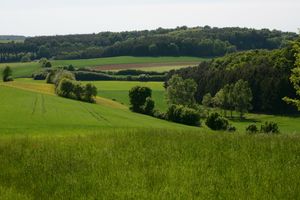 운터바르트(de) 풍경 (동슈타이어마르크 구릉지대)