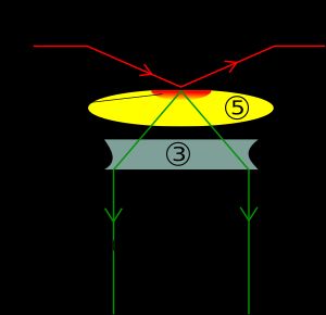 전반사 형광 현미경의 작동 방식: (1)대물렌즈, (2)방출 빔 (신호), (3)침지유, (4)커버글라스, (5)시료, (6)에반산파 범위, (7)여기 빔, (8)석영 프리즘.