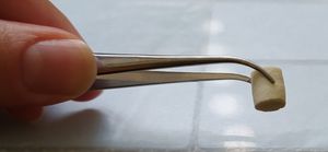 실험실에서 사용되는 핀셋