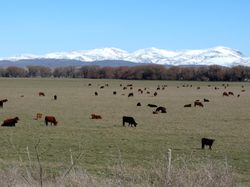 코로넬 수아레스(Coronel Suárez) 아르헨티나(Argentina) 주변 경관