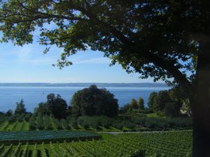 포도밭에서 바라본 보덴호
