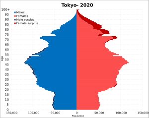2020년 도쿄도 인구 피라미드