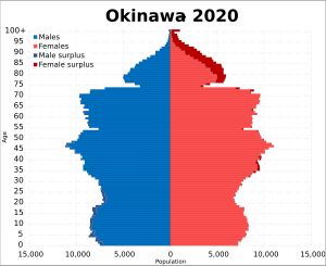 2020년 오키나와현 인구 피라미드