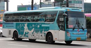 K리무진(구 KAL리무진버스) 운행 차량은 현대 유니버스이다.