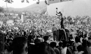 1949년 나무 베기 대회의 경쟁과 내기