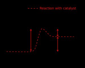 흡열 화학 반응에서 촉매의 효과를 보여주는 개략적인 퍼텐셜 에너지 다이어그램. 촉매는 활성화 에너지가 더 낮은 다른 반응 경로(빨간색)를 제공한다. 최종 결과와 전체 열역학은 동일하다.