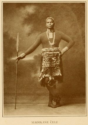 줄루족 의복을 입고 창(아세가이)을 든 마디카네 첼레의 사진