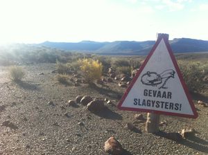 Gevaar Slagysters}} 또는 "위험, 함정".