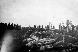 탐페레 전투 이후 매장도 되지 못하고 방치된 시체들.