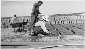 20세기 초 벽돌 제조