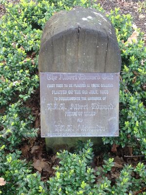 앨버트 에드워드 오크 기념비