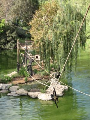 예루살렘 성경 동물원