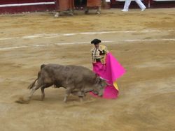 보고타의 투우(Bullfighting). 스페인 문화의 유산이다. 콜롬비아의 많은 단체들은 투우 관행을 비판하고 있지만, 콜롬비아에서는 여전히 합법이다.