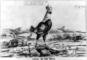 승리한 재커리 테일러