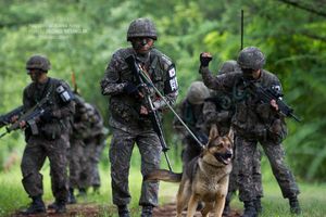 3사단 수색대대가 비무장지대 부근에서 순찰 중