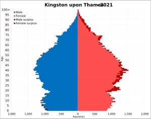 킹스턴어폰템스 자치구의 인구 피라미드