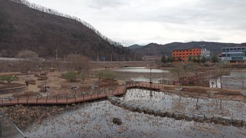 영양군 영양읍 삼지리 구하도를 지나는 국도 제31호선