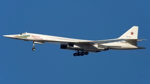 안드레이 니콜라예비치 투폴레프의 이름을 딴 러시아 전략 폭격기 투폴레프 Tu-160