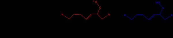 지질 자동산화의 간략화된 경로: 수산기 라디칼에 의해 개시되며, 수소를 떼어내어 펜타디에닐 라디칼(공명 구조 중 하나만 표시됨)을 형성합니다. 이 라디칼은 O2를 첨가하여 하이드로퍼옥실 라디칼(빨간색)을 생성합니다. 전파 단계에서, 이 하이드로퍼옥실 라디칼은 새로운 디엔으로부터 H+ 원자를 떼어내어 새로운 펜타디에닐 라디칼과 하이드로퍼옥사이드(파란색)를 생성합니다.