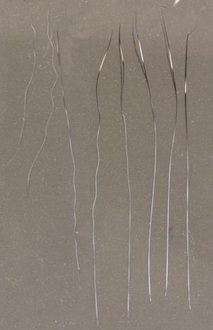 집고양이의 다운, 아운, 가드 헤어