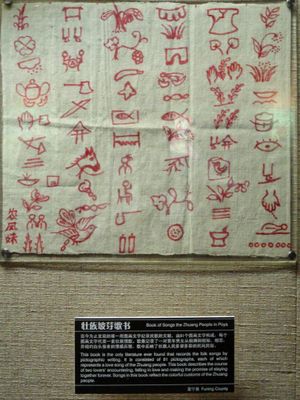 윈난성 푸닝 현에서 좡족 여성들이 사용하는 「포야(Poya) 노래집」의 81개 기호