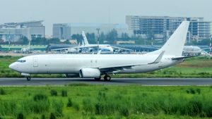 조지아 항공 보잉 737-800F