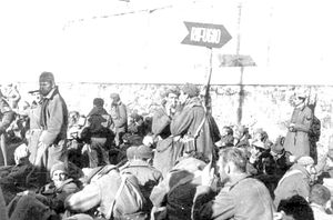 이탈리아 본토로 수송되기를 기다리는 영국, 호주, 뉴질랜드 포로들