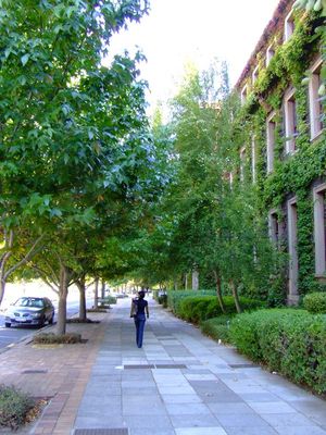 어퍼 캠퍼스, 남쪽을 바라보는 유니버시티 애비뉴 북쪽 끝