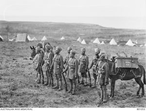 레바논 트리폴리에 있는 인도 사퍼 및 광부