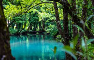 플리바-얀야-얀야스케 오토케 보호지역(Protected area Pliva, Janj with Janjske Otoke reserve)