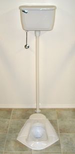 (미국 미시간주 세일린)