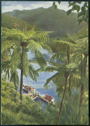 뉴질랜드 와이탕이 강 피피리키의 계류장. 엽서. 1930년대.