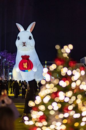 2022 서울빛초롱축제 대형 토끼 등