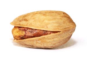 씨앗이 보이는 피스타치오 껍질