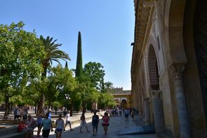 오늘날의 오렌지 나무 중정