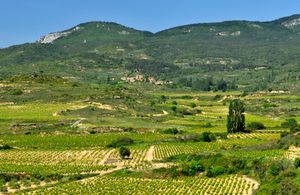 라 리오하 전경