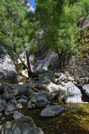과달키비르강 발원지