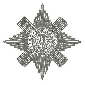 엉겅퀴 훈장의 별