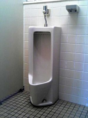 바닥 설치형(스톨), 트랩 분리형 소변기