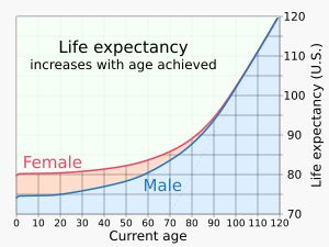 미국의 평균 수명