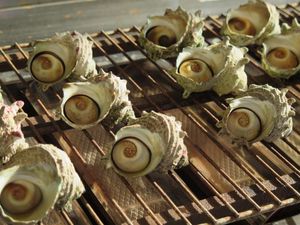 소라 구이 요리