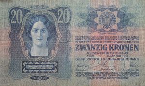 오스트리아-헝가리 제국의 20 크로네 지폐. 모든 공식 및 공인 언어가 사용되었다 (뒷면은 헝가리어).