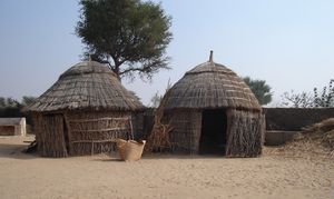타르 사막(Thar desert)의 오두막