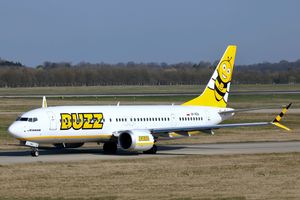 새로운 버즈 도장의 보잉 737 MAX 2