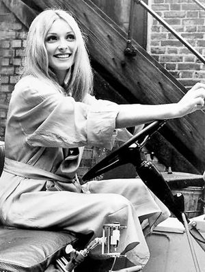 1969년 영화 '12+1' 촬영 현장의 테이트